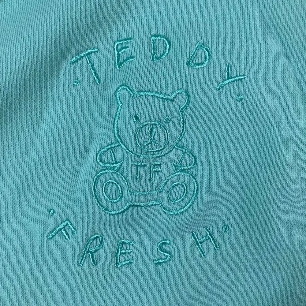 Teddy Fresh Colorblock Hoodie Mint Pink Lavender Embroidered Bear Logo Mens M - Picture 4 of 11